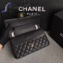 Chanel Bag 100 25.5cm Genuine Goat skin